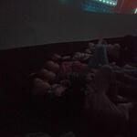 dzieci z grupy Motylki oglądają film edukacyjny.jpg