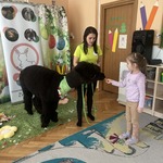 dziewczynka karmi alpakę marchewką.jpeg