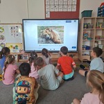 dzieci oglądają materiał edukacyjny o niedźwiedziach.jpg